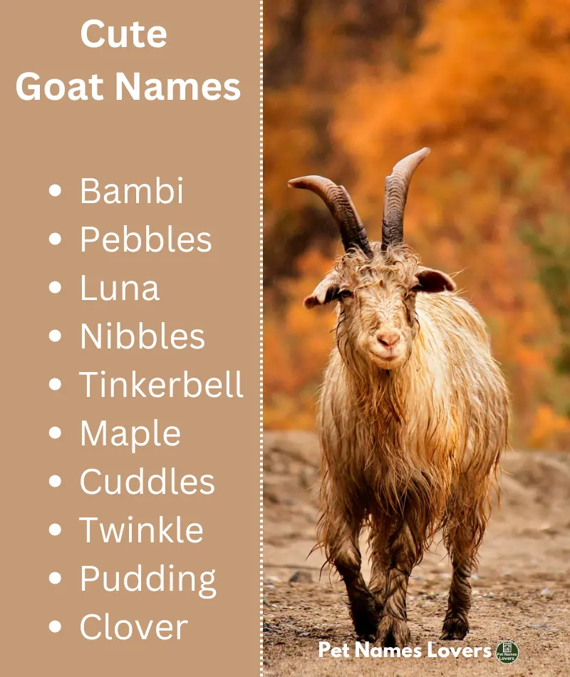 Cute Goat Names