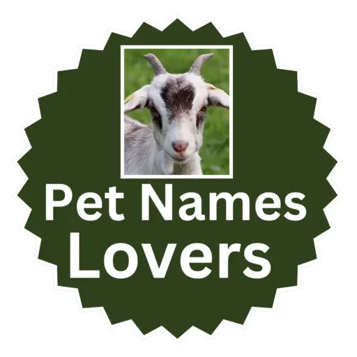 Pet Names Lovers