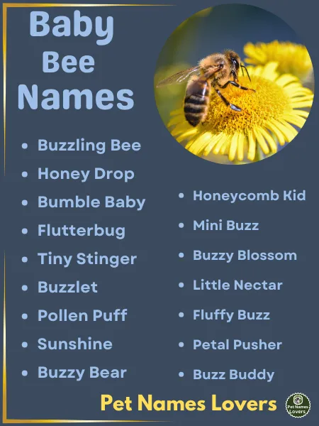 Baby Bee Names