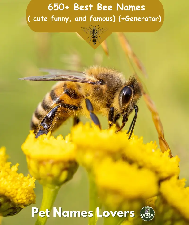 Bee Names