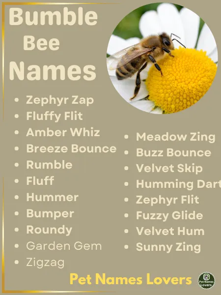 Bumble Bee Names