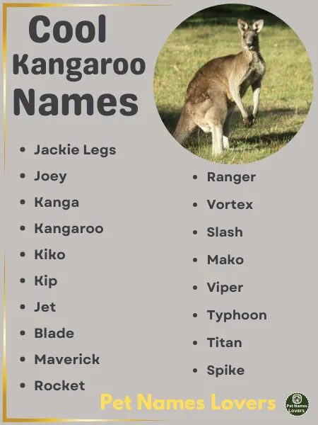 Cool Kangaroo Names