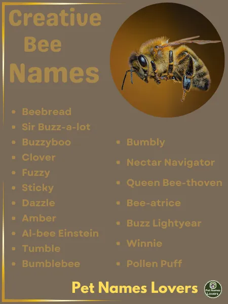 Creative Bee Names