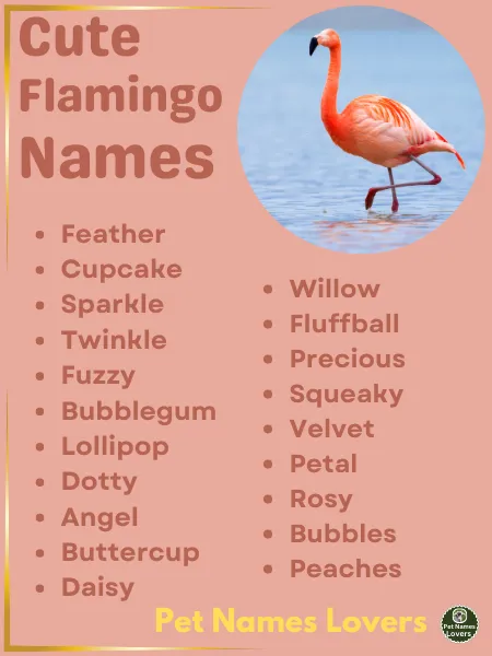 Cute Flamingo Names