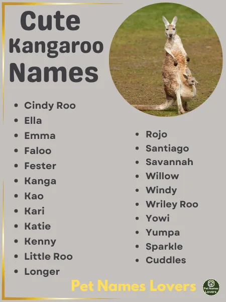 Cute Kangaroo Names