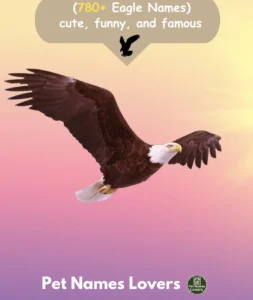 Eagle Names