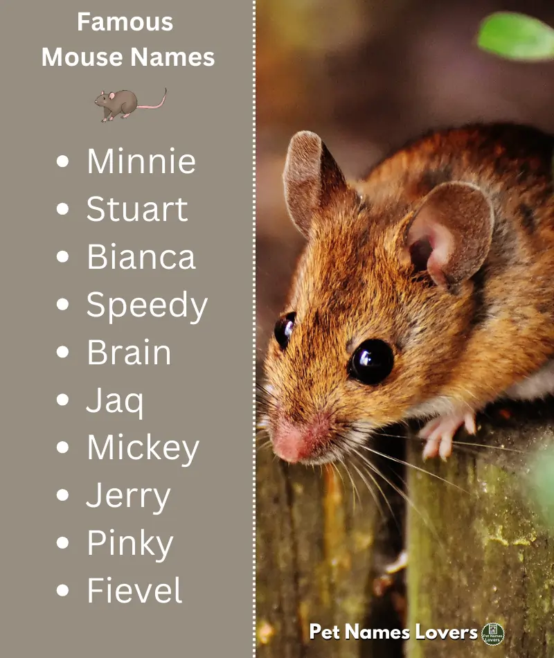 Famous Mouse Names