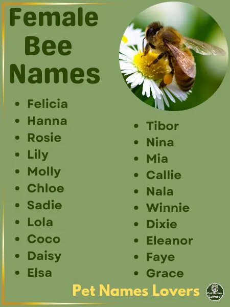 Female Bee Names