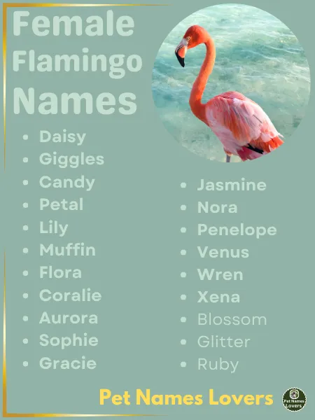 Female Flamingo Names