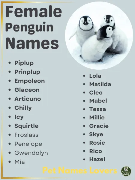 Female Penguin Names