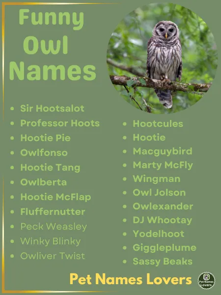 Funny Owl Names