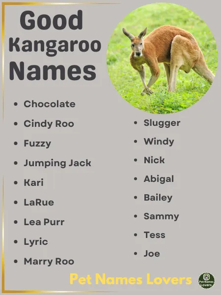 Good Kangaroo Names