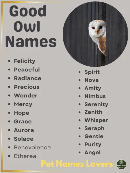 Good Owl Names