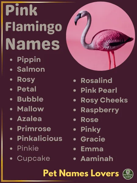 Pink Flamingo Names