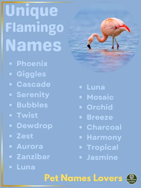 Unique Flamingo Names