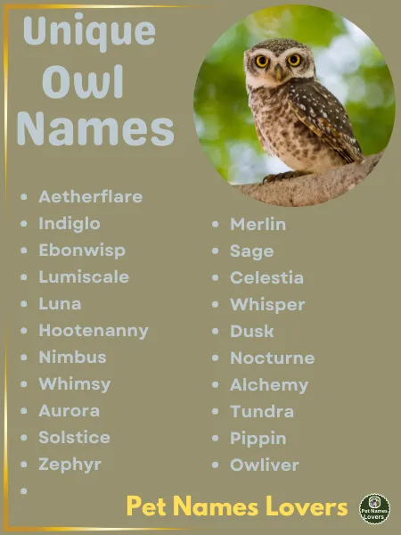 Unique Owl Names