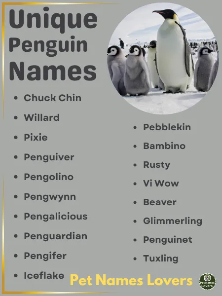 Unique Penguin Names