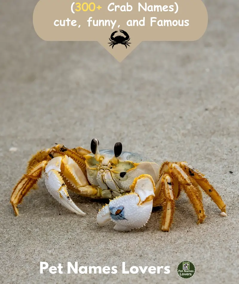 Crab Names