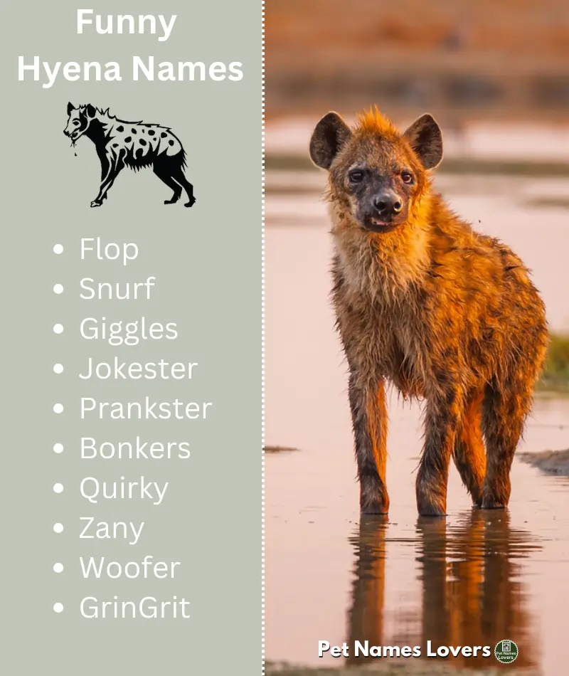 255-best-hyena-names-funny-and-cool-generator