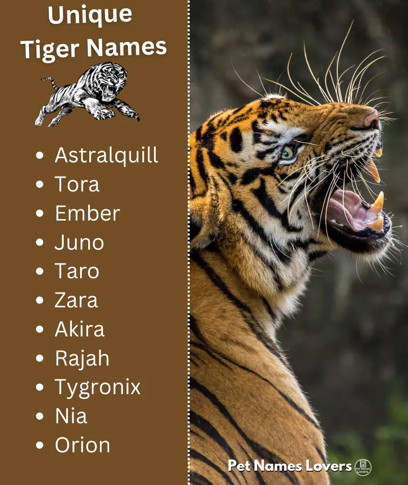 Unique Tiger Names