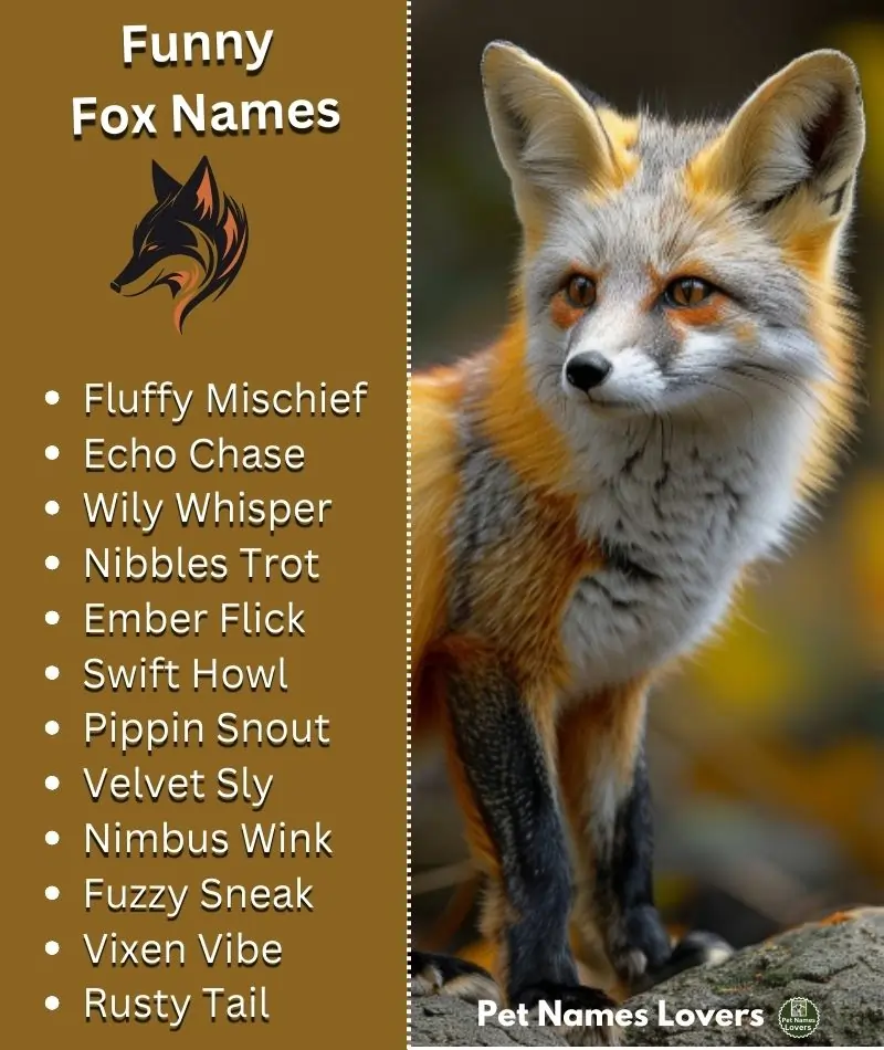 Funny Fox Names