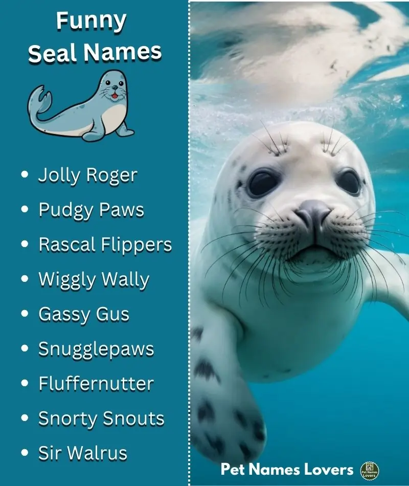 Funny Names for seal