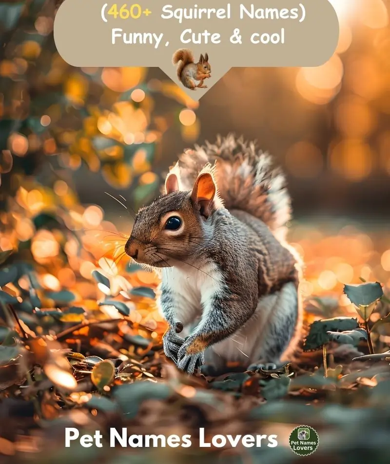 Squirrel Names 