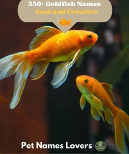 Goldfish Names