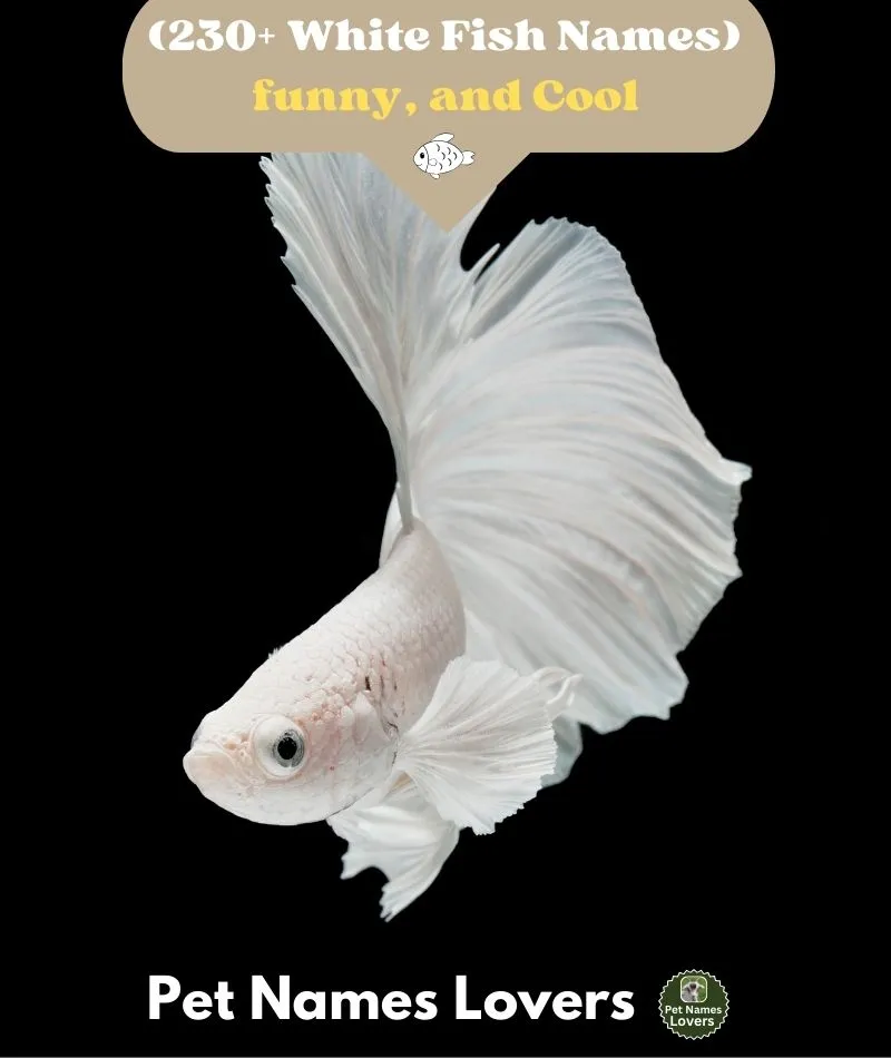 White Fish Names