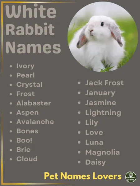 White Rabbit Names