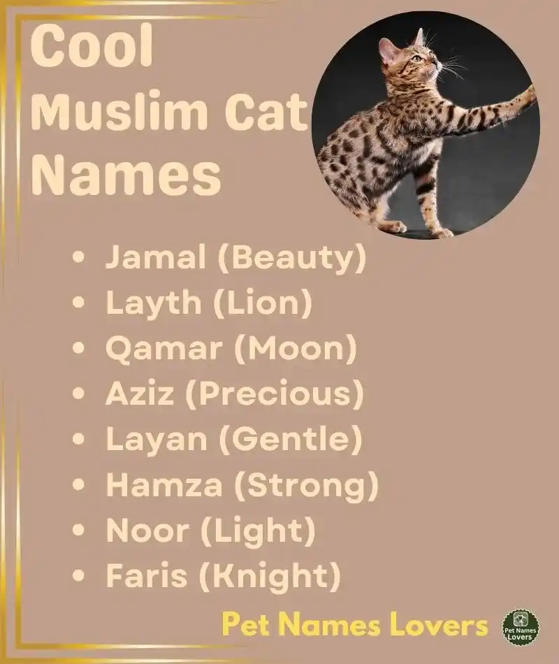 Cool Muslim Cat Names