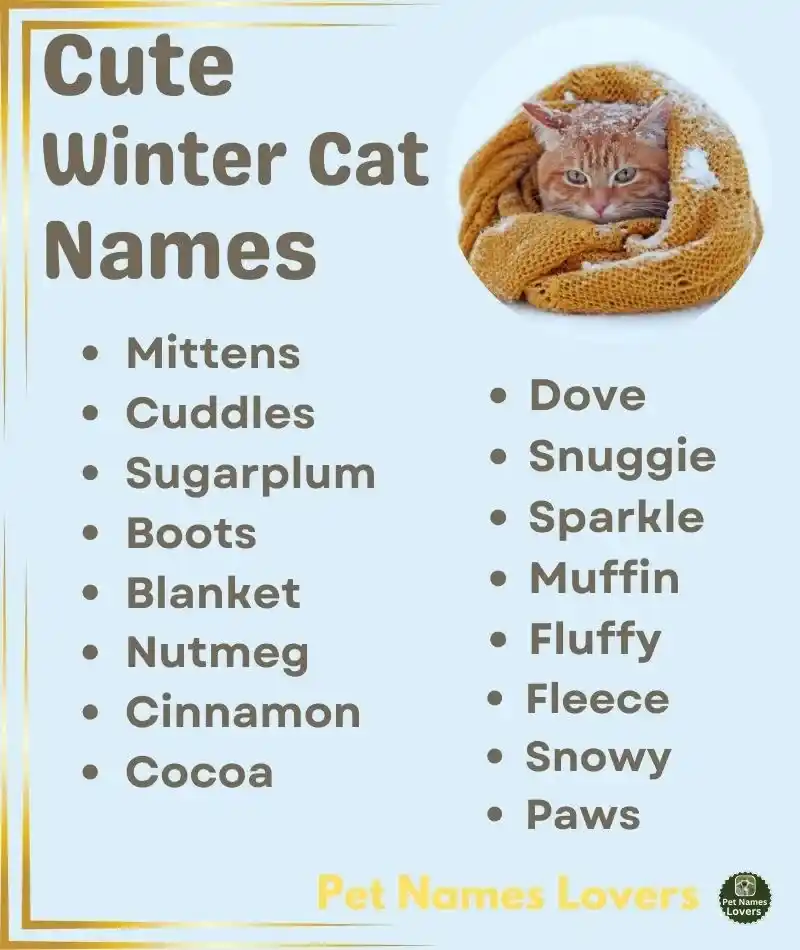 Cute Winter Cat Names 1