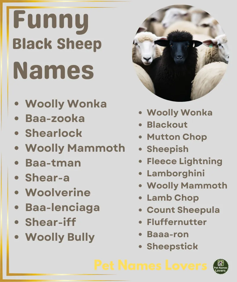 Funny Black Sheep Names