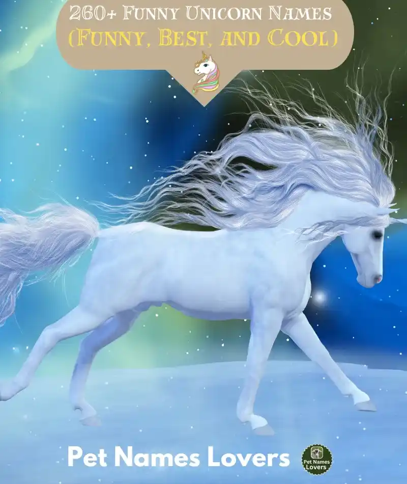 Funny Unicorn Names