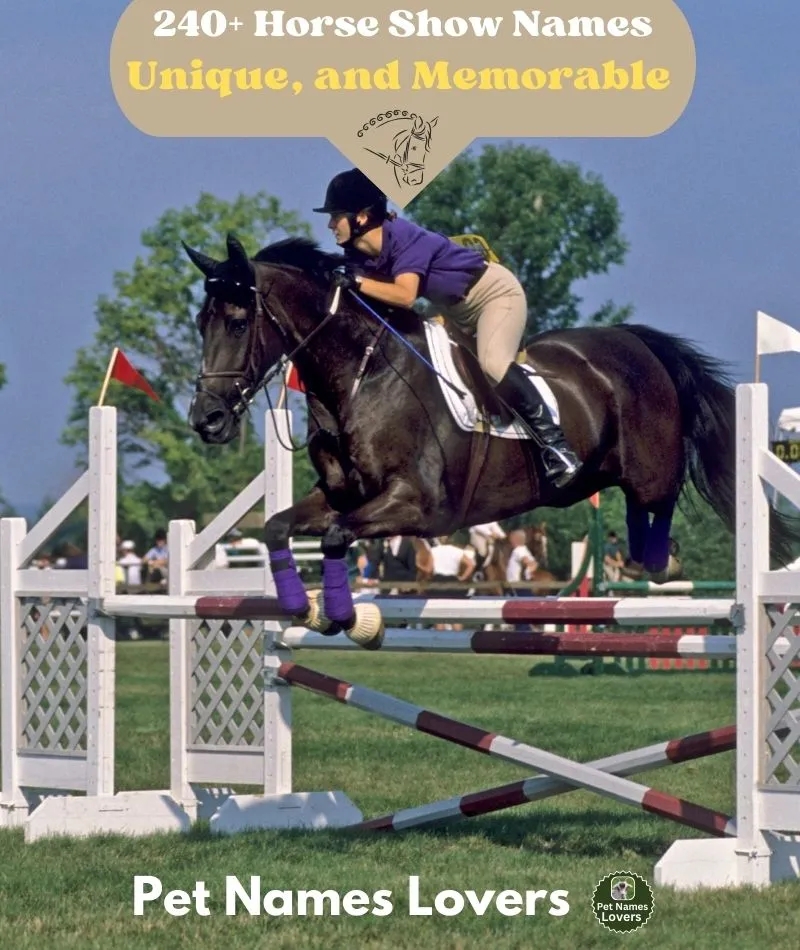 Horse Show Names