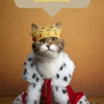 Royal Cat Names