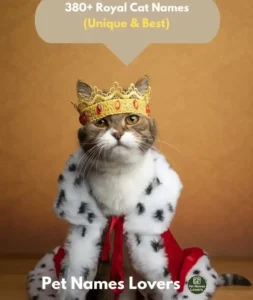 Royal Cat Names