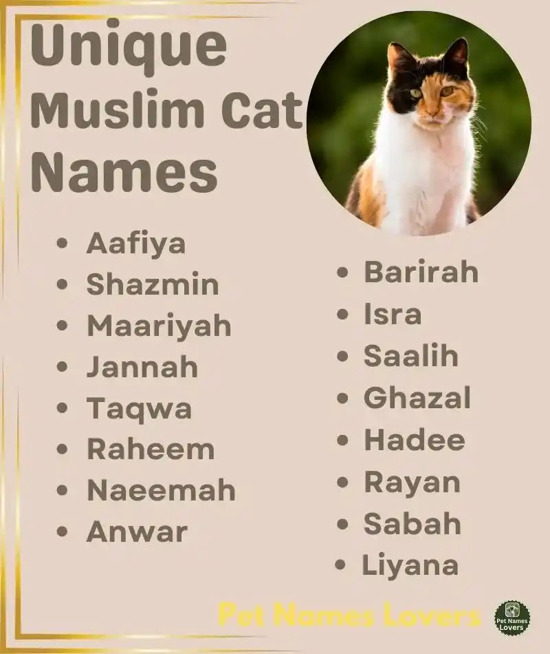 Unique Muslim Cat Names