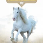 White Horse Names