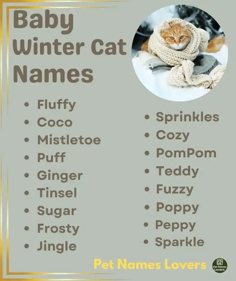 Baby Winter Cat Names