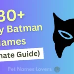 Funny Batman Names