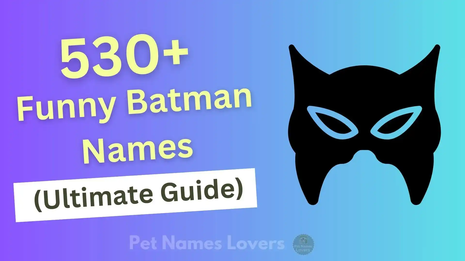 Funny Batman Names