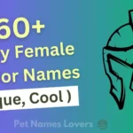 Funny Female Warrior Names