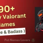 Funny Valorant Names