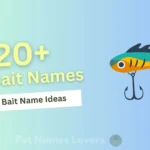 Cool Bait Names