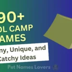 Cool Camp Names (2)