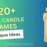 Cool Candle Names