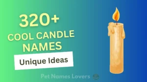 Cool Candle Names