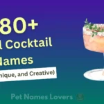 Cool Cocktail Names