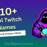 Cool Twitch Names